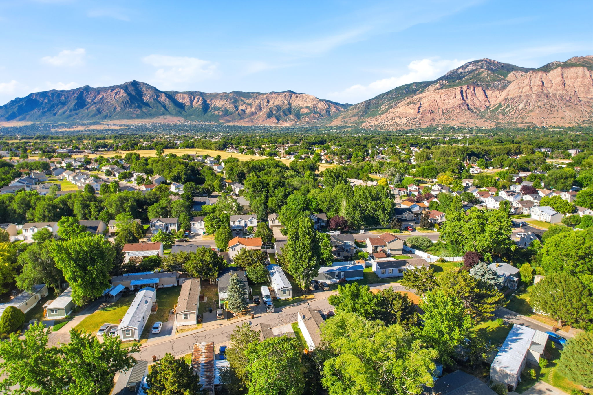 Expansive aerial perspective showcasing a residential area with lush green trees