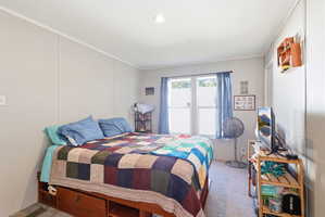 Bedroom featuring paneled walls, a carpeted floor, and a double window with blinds
