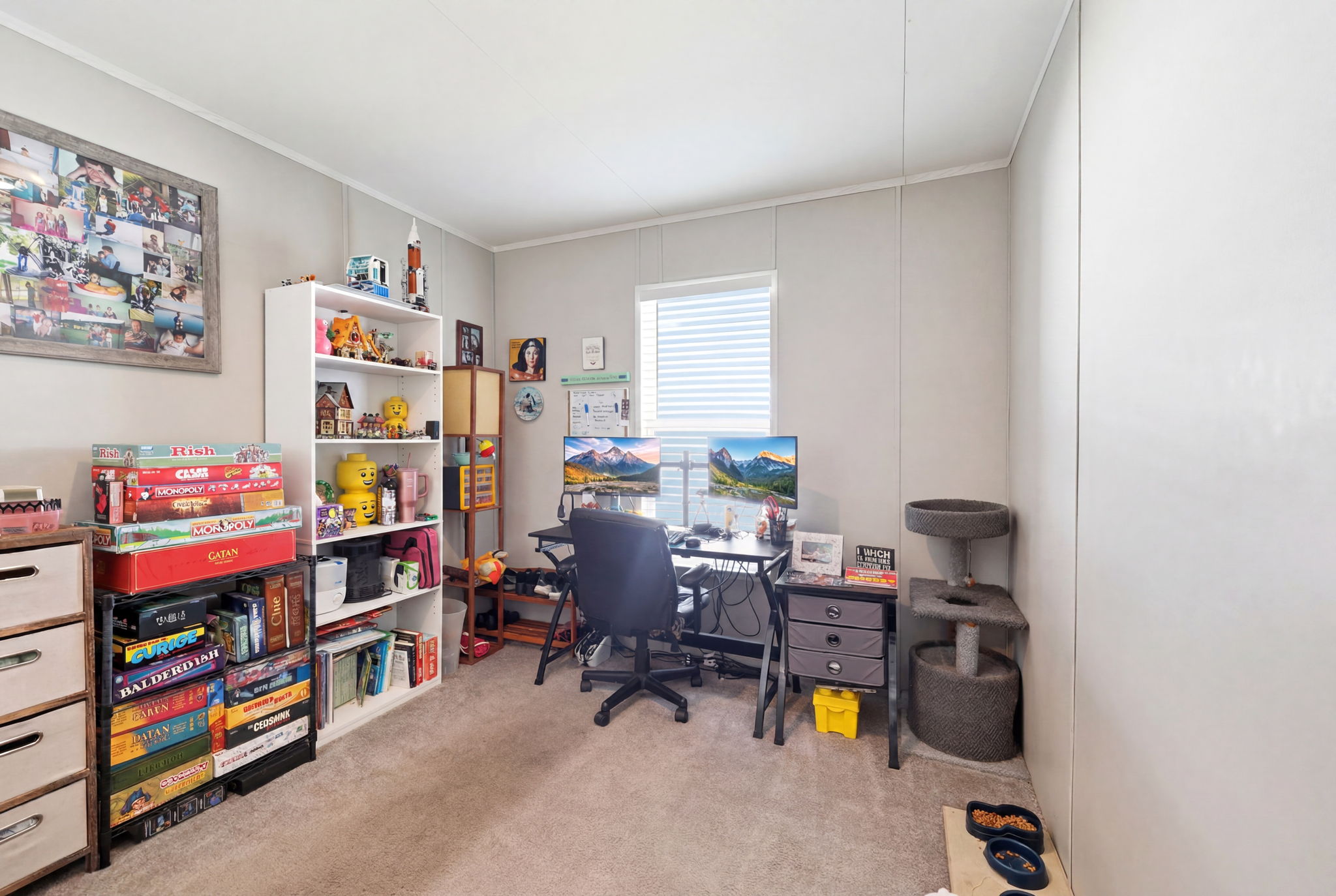 Carpeted room featuring a white window blind, a functional desk area, and multiple built-in shelving units for storage