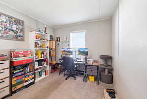 Carpeted room featuring a white window blind, a functional desk area, and multiple built-in shelving units for storage
