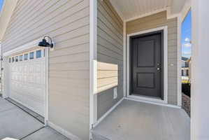 Entryway featuring a dark paneled door and concrete porch