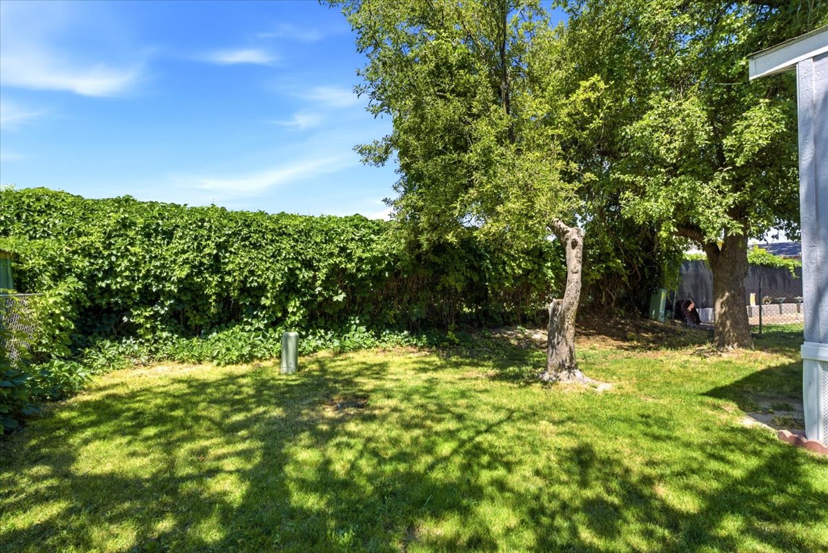 Expansive green lawn surrounded by mature fruit trees and a dense privacy hedge