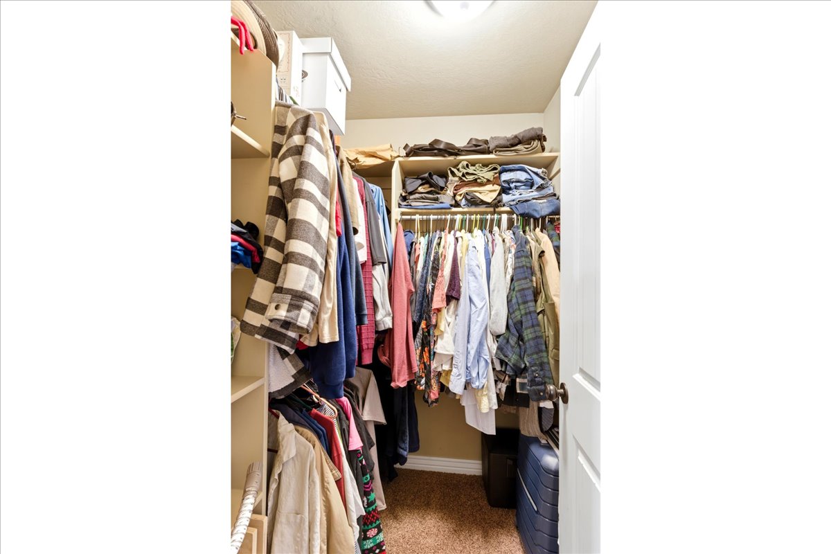 Walk-in closet featuring extensive built-in shelving, multiple hanging rods, and neutral-toned carpeting
