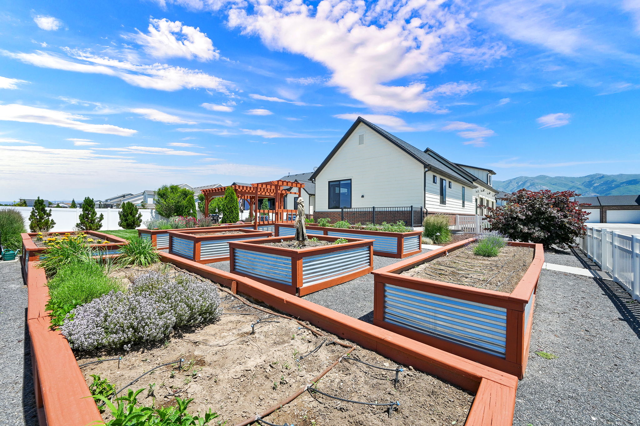 Expansive outdoor space featuring multiple raised garden beds with wood framing and corrugated metal sides
