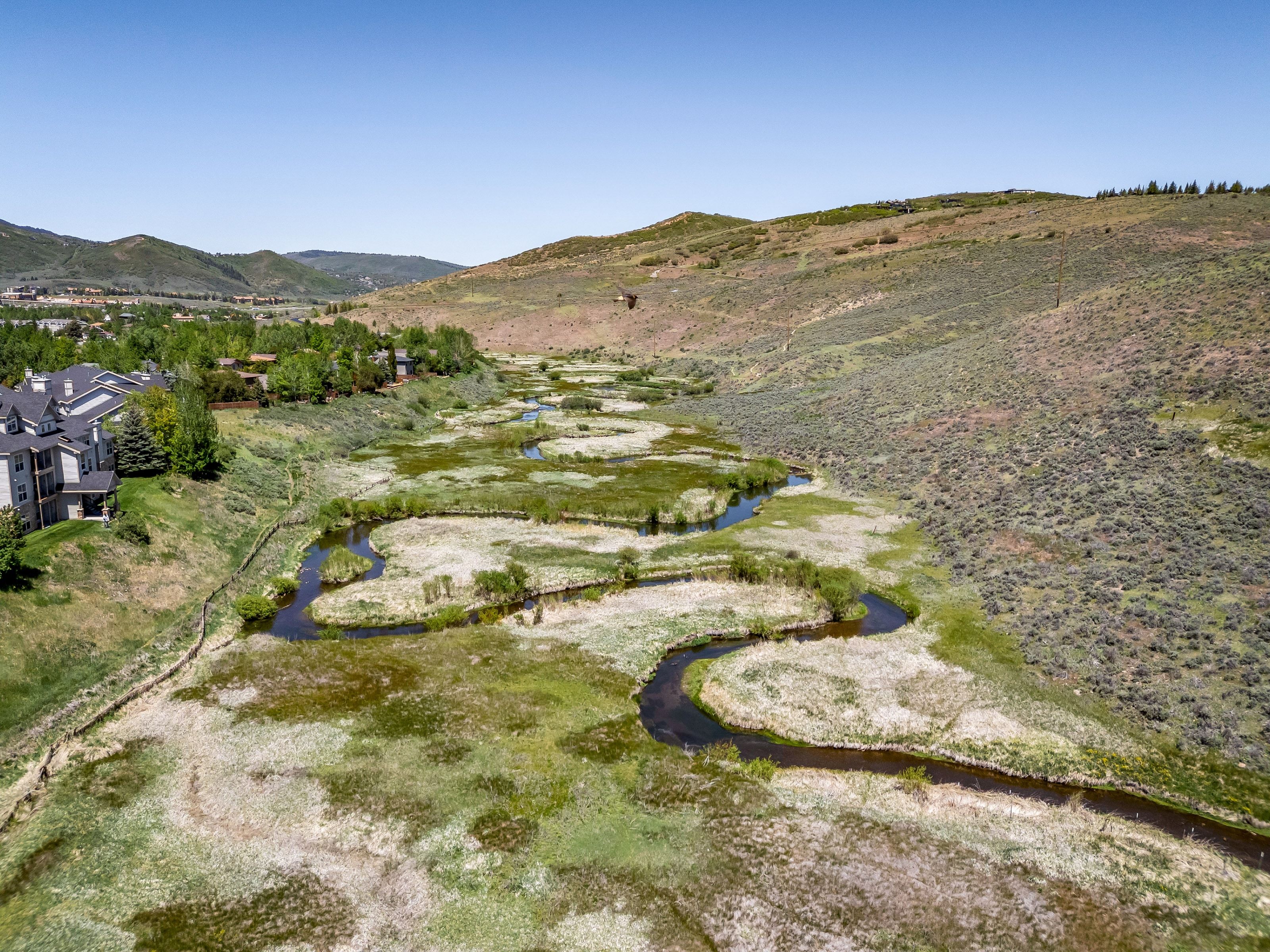 Winding waterway with varied vegetation and distant mountain backdrop