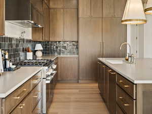Gourmet kitchen featuring a stainless steel range, custom range hood, wood-finish flooring, recessed lighting, and a kitchen island with an integrated sink and pendant lighting