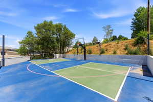 Dedicated outdoor sports court featuring a vibrant blue and green surface with white and pink boundary lines, a basketball hoop, and surrounding privacy walls