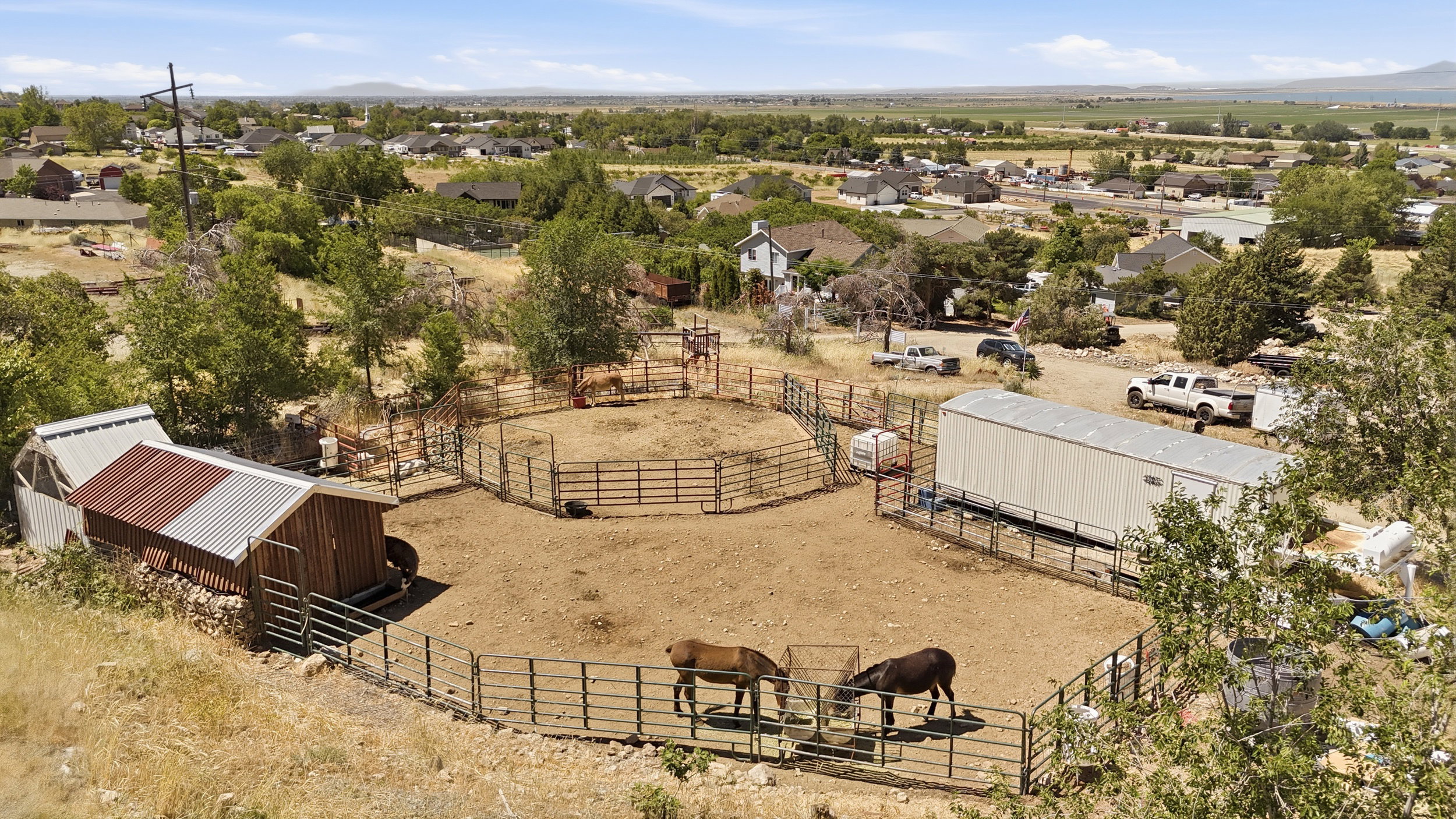 Enclosed animal pens with metal fencing