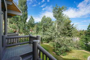 Private outdoor deck featuring log railing, open-grate flooring, wood-paneled eaves, and a backdrop of mature trees