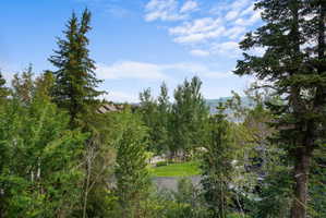 Expansive mountain landscape with diverse evergreen and deciduous trees