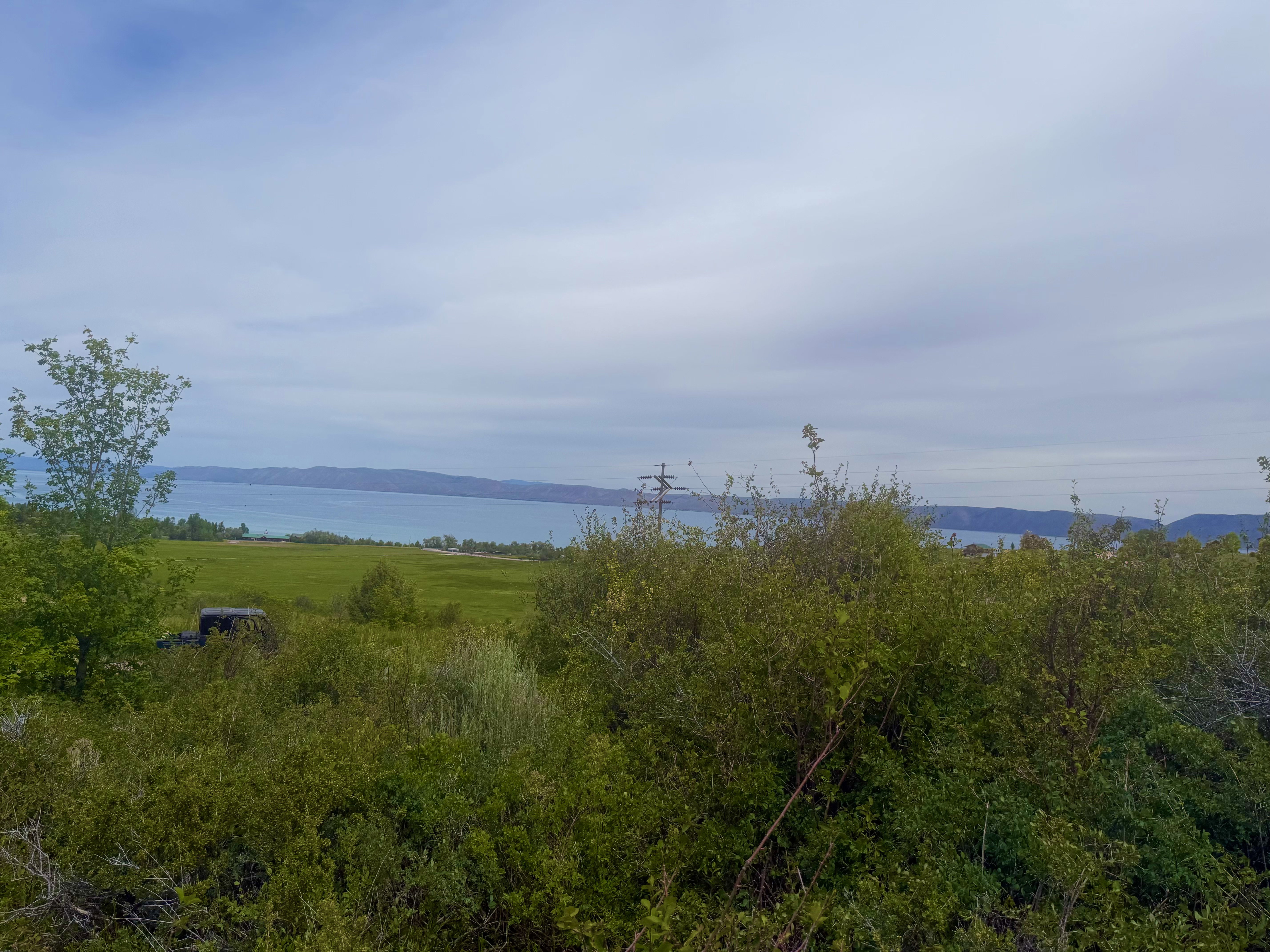 Expansive natural landscape with verdant foliage and distant water