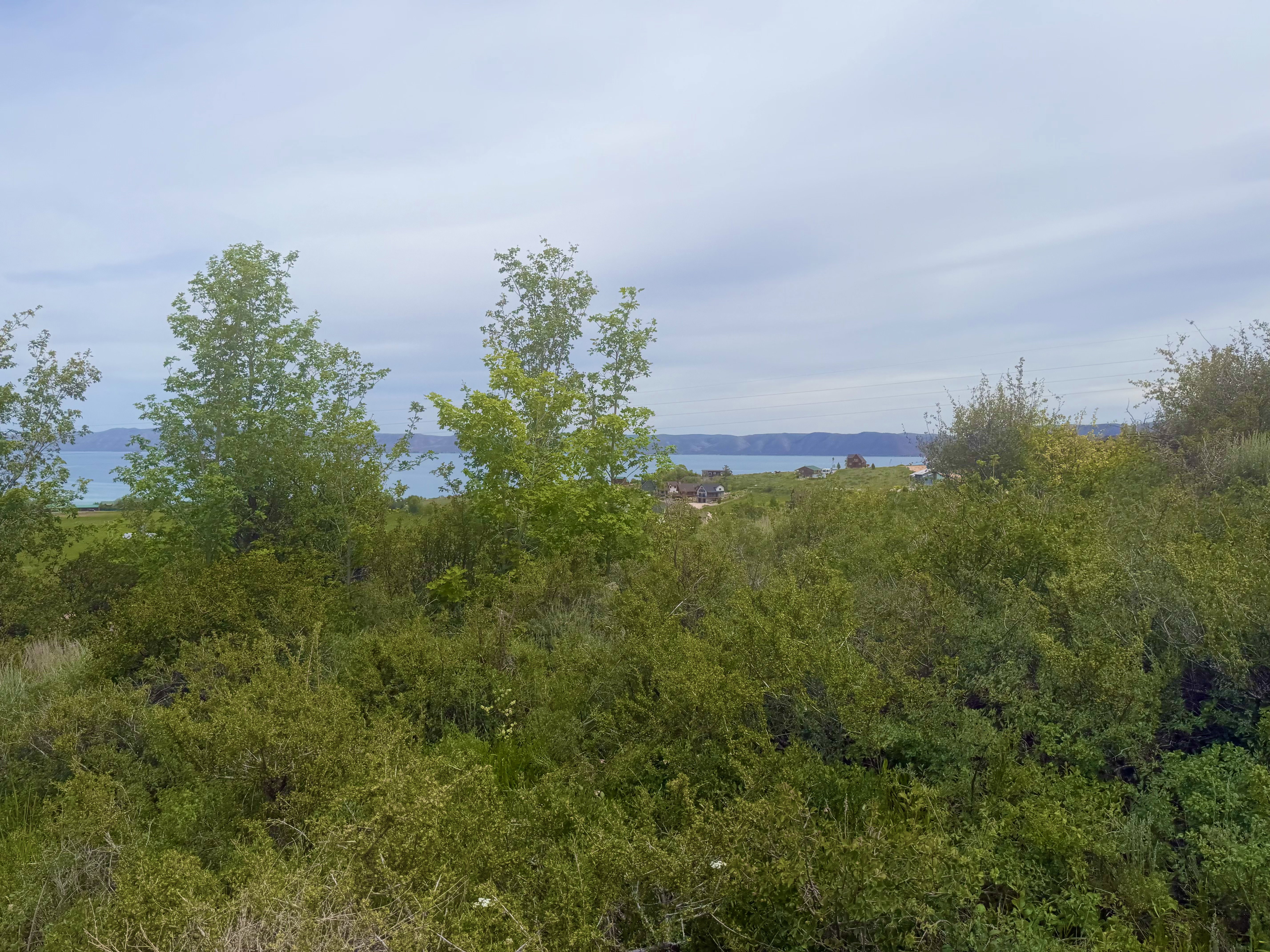 Expansive land parcel featuring dense green foliage, mature trees, and distant water scenery