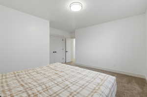 Bedroom #5 Carpeted room featuring white walls, a flush-mount ceiling light, and white interior doors with matte black hardware