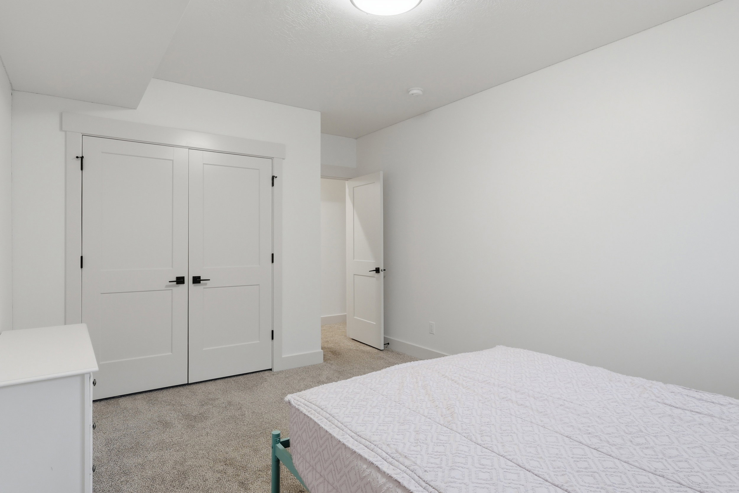 #6 White interior featuring a double-door closet with black hardware, neutral carpeting, white baseboards, and a flush mount ceiling light