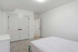 #6 White interior featuring a double-door closet with black hardware, neutral carpeting, white baseboards, and a flush mount ceiling light