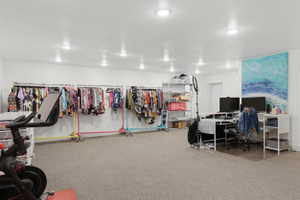 Flex Room, Possible Theater Room, Spacious room featuring neutral carpeting and white walls