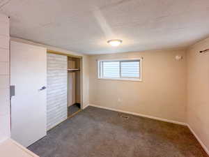 Carpeted room featuring a built-in closet with sliding doors, a horizontal window with blinds, and a flush-mount ceiling light fixture
