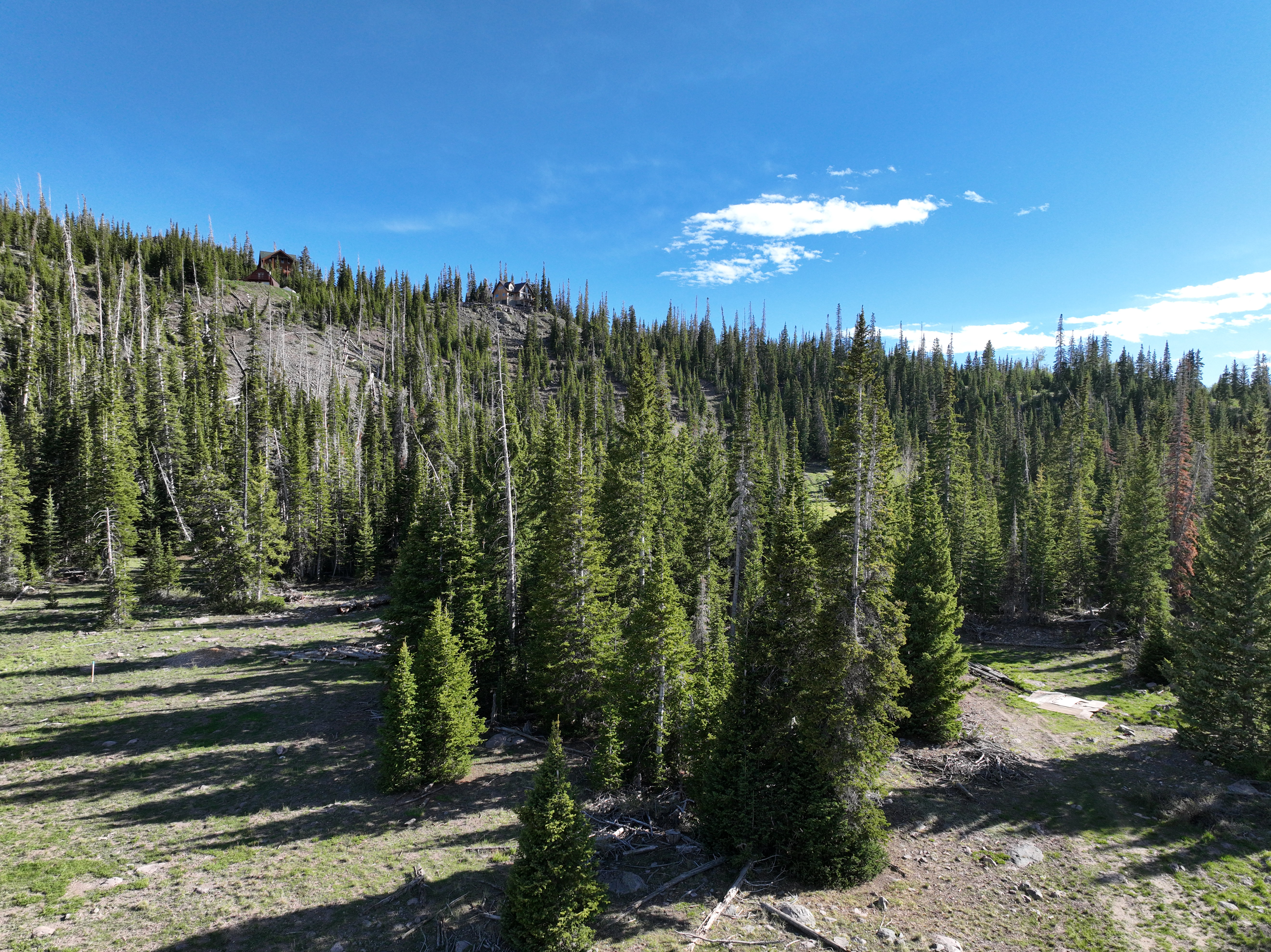Mountainous terrain with natural tree cover under a clear blue sky