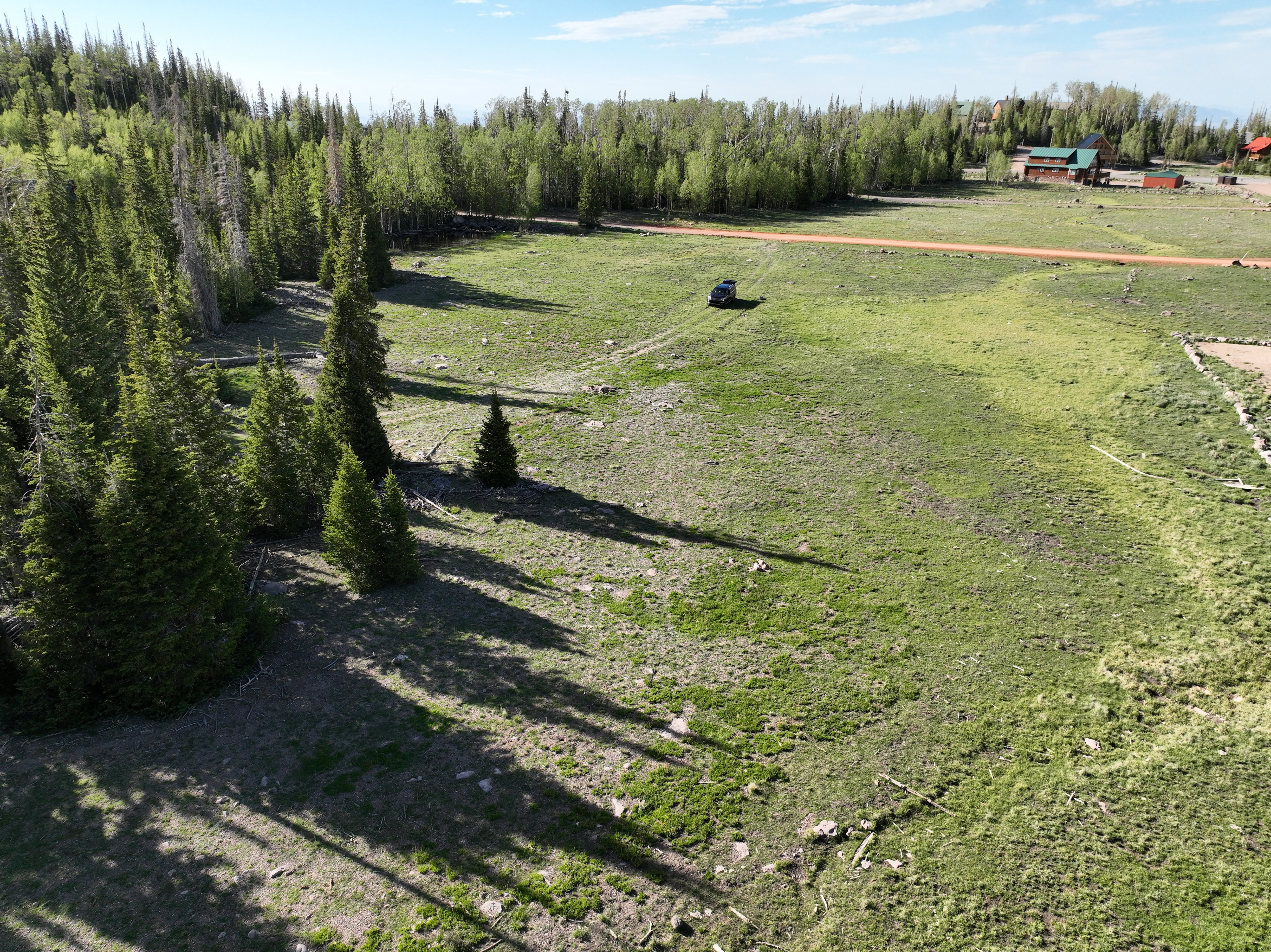 Expansive undeveloped land featuring a mixture of natural grass and mature evergreen trees