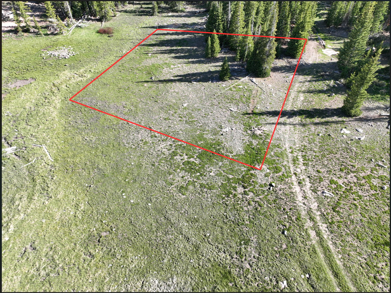 Grassy terrain with scattered trees and natural groundcover