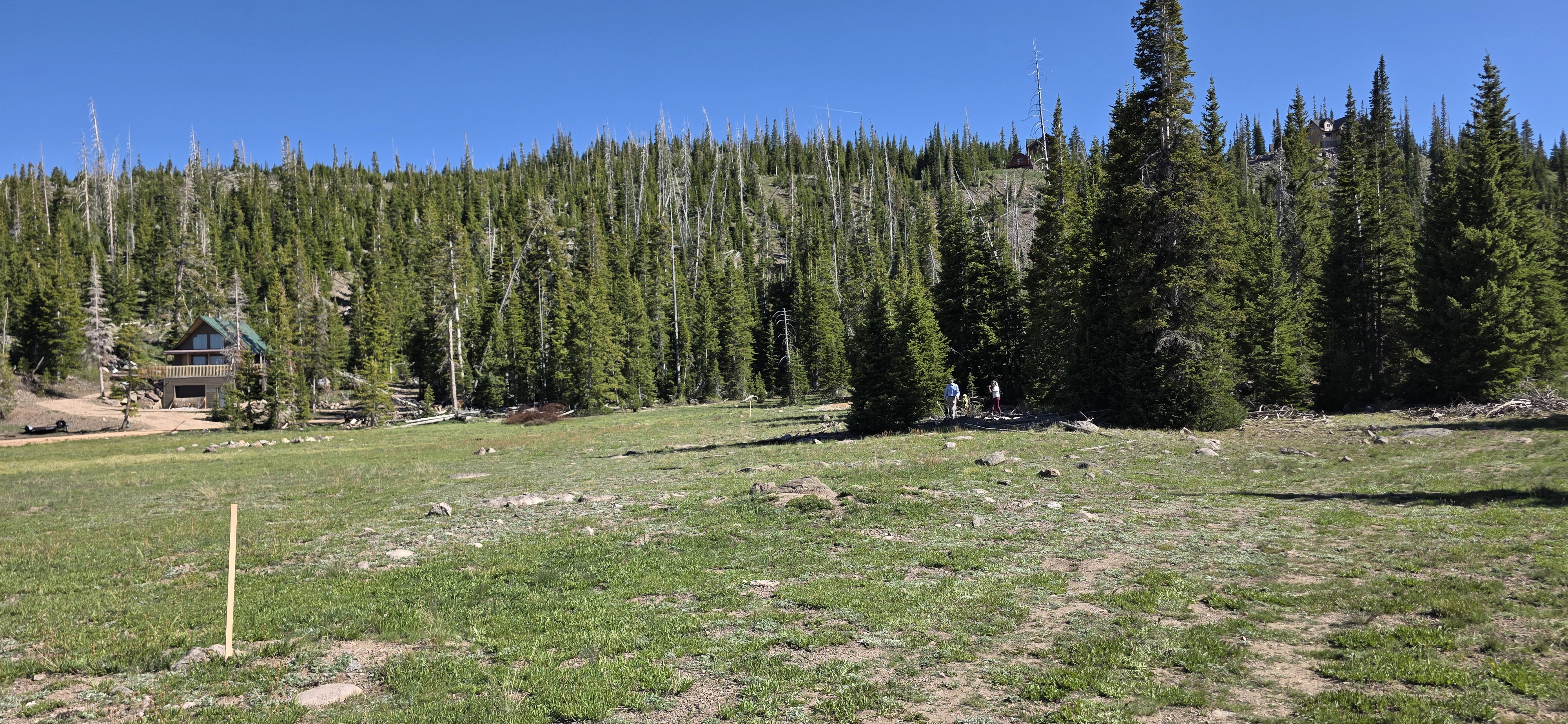 Expansive natural setting featuring a meadow, dense tree line, and a distant cabin structure