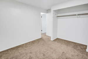 Carpeted room featuring white walls and a built-in closet with a hanging rod
