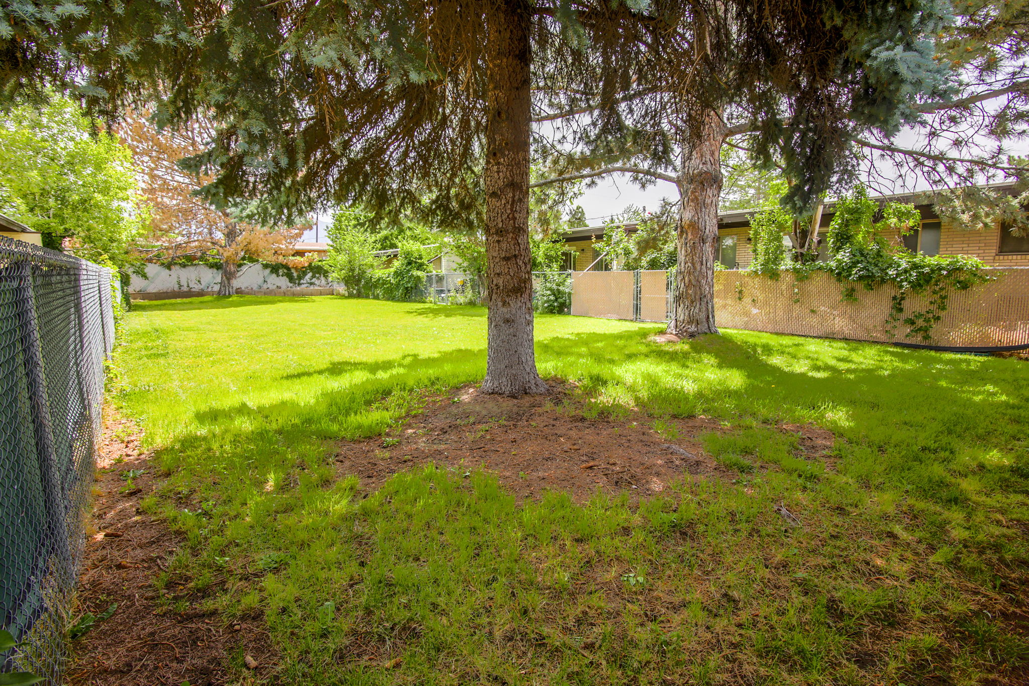Expansive rear yard featuring green lawn, mature trees, and chain-link fencing
