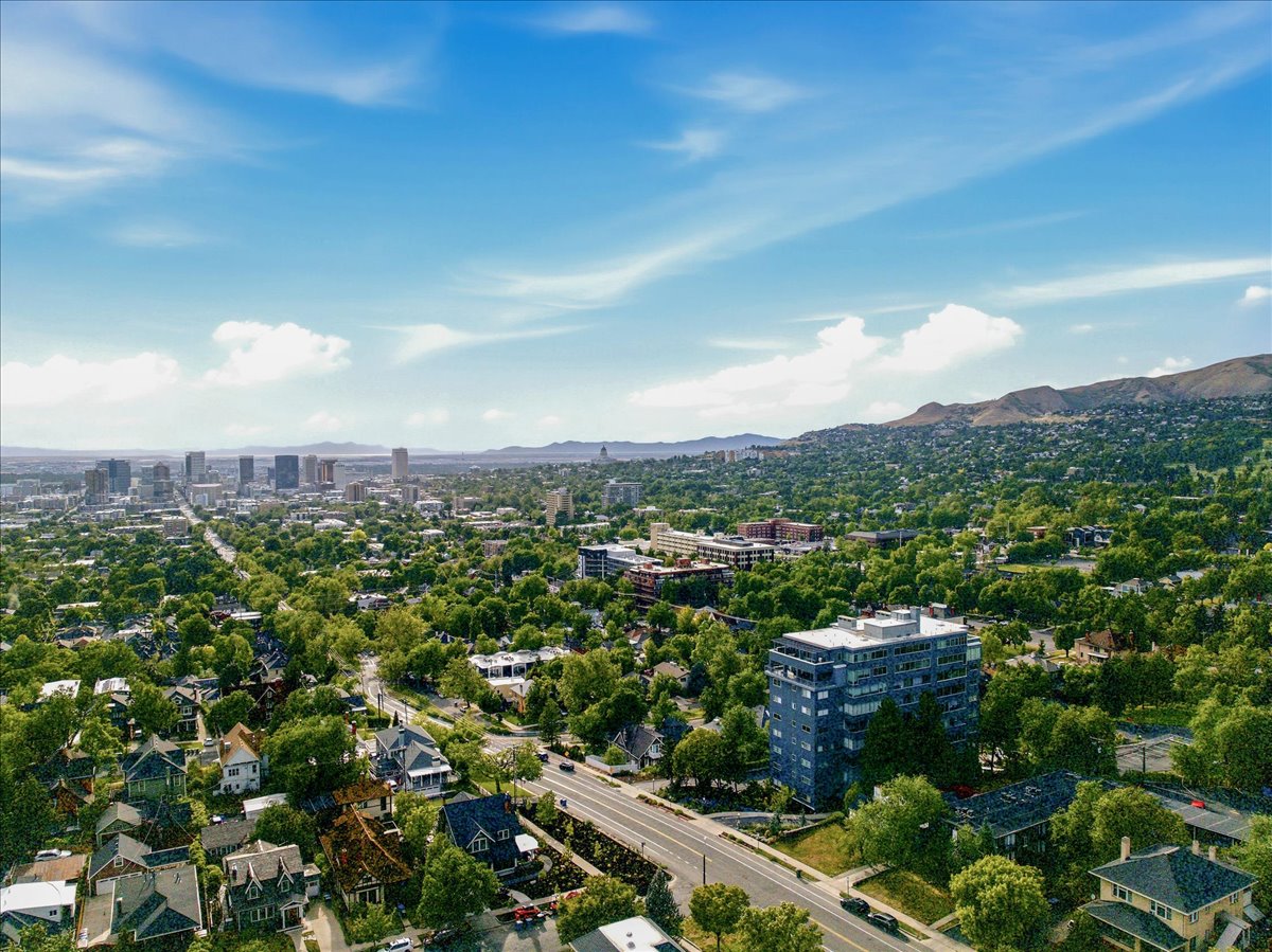 Aerial perspective showcasing a lush, tree-lined urban landscape