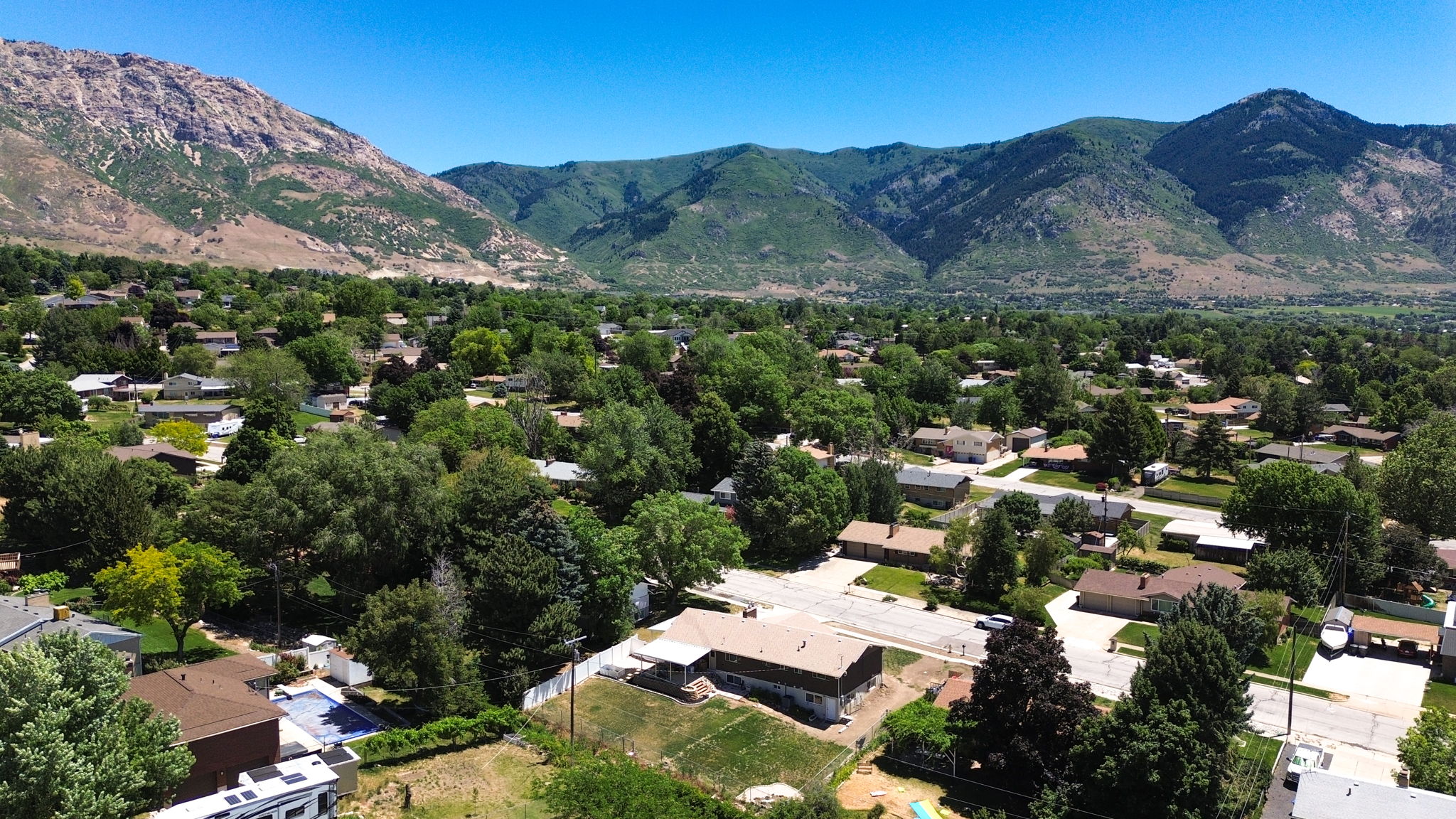 Aerial perspective of a verdant residential area featuring numerous mature trees and a distant mountain range