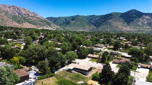 Aerial perspective of a verdant residential area featuring numerous mature trees and a distant mountain range