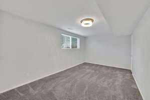Carpeted interior space featuring a window with horizontal blinds, a flush-mount ceiling light fixture, and white wall finishes