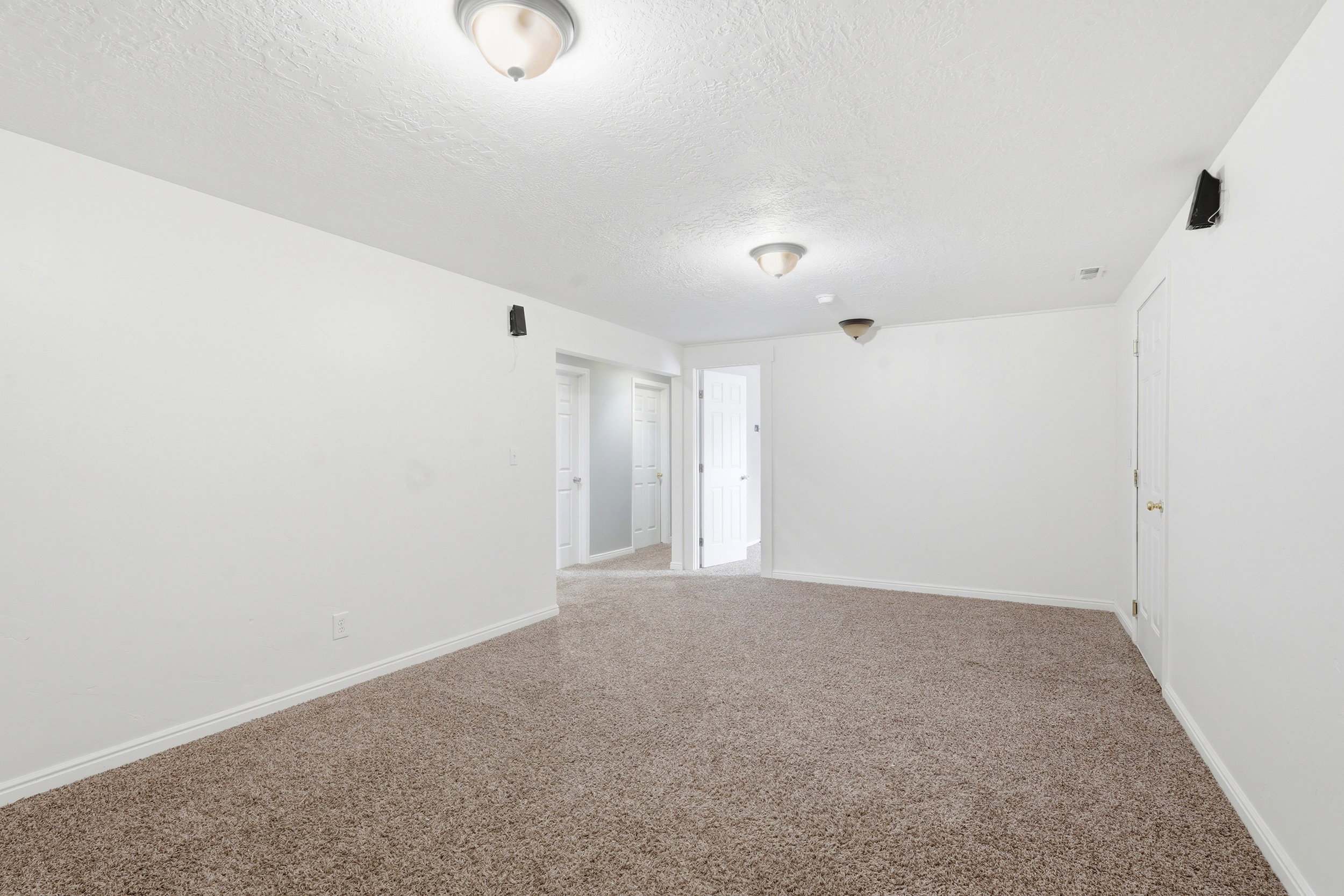 Expansive room featuring neutral-toned carpet flooring, white painted walls, and multiple ceiling-mounted light fixtures