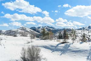 Expansive snow-covered landscape with distant mountain ranges and scattered evergreen trees