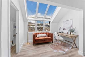 Room featuring multiple skylights, large window with mountain scenery, and wood-finish flooring