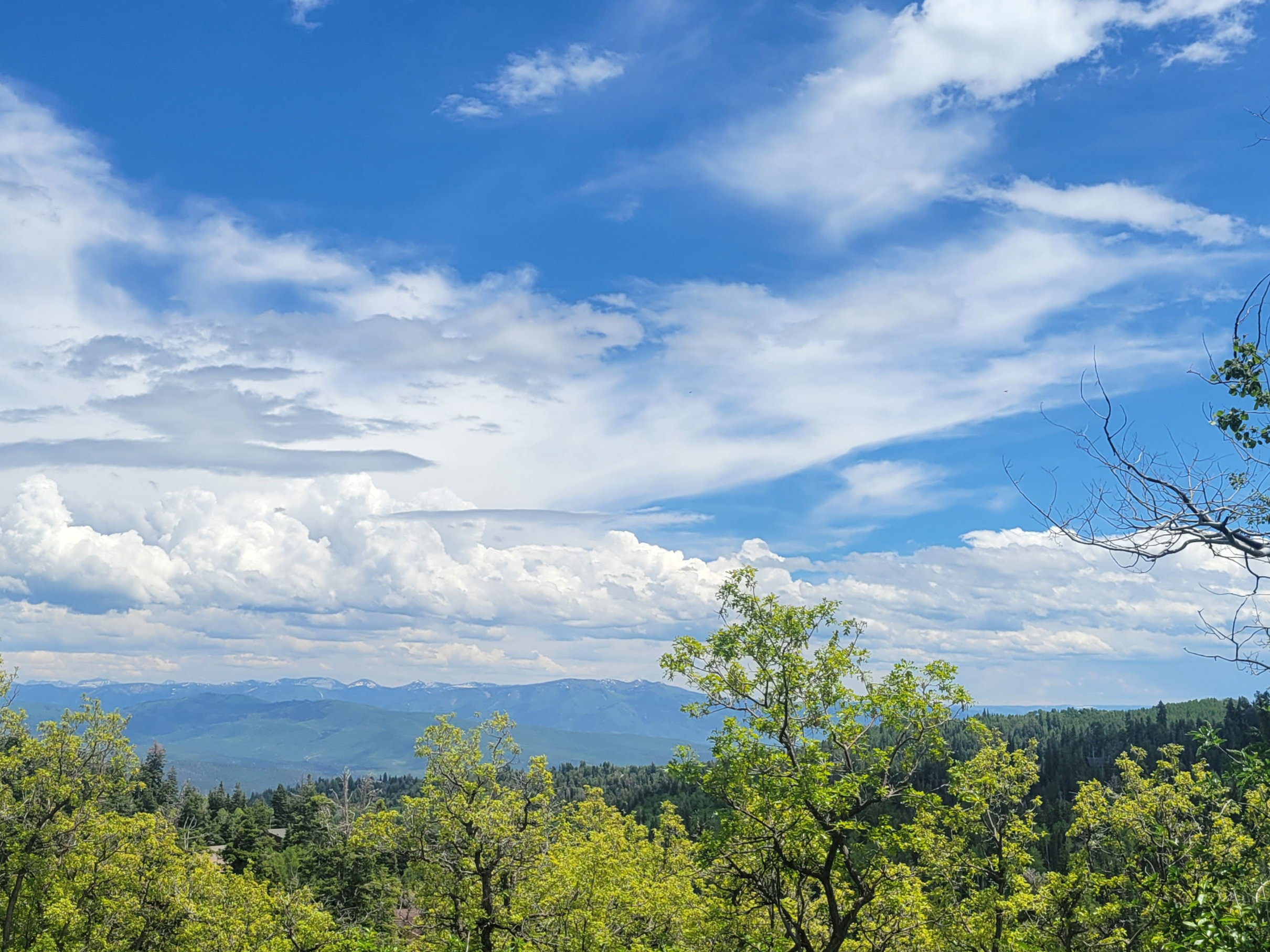 Expansive mountain scenery with a varied tree line under a broad sky