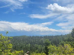Expansive mountain landscape featuring a dense forest of evergreen trees and a clear blue sky with white clouds