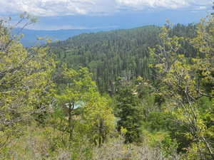 Expansive mountain forest scenery under a bright blue sky with scattered clouds