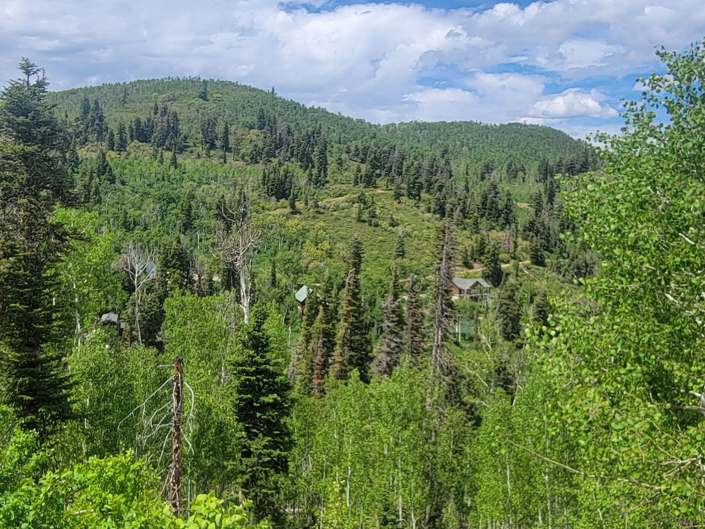 Expansive mountain landscape featuring dense evergreen and deciduous trees under a partially clouded sky