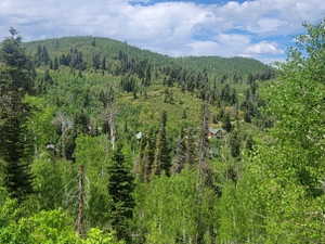Expansive mountain landscape featuring dense evergreen and deciduous trees under a partially clouded sky