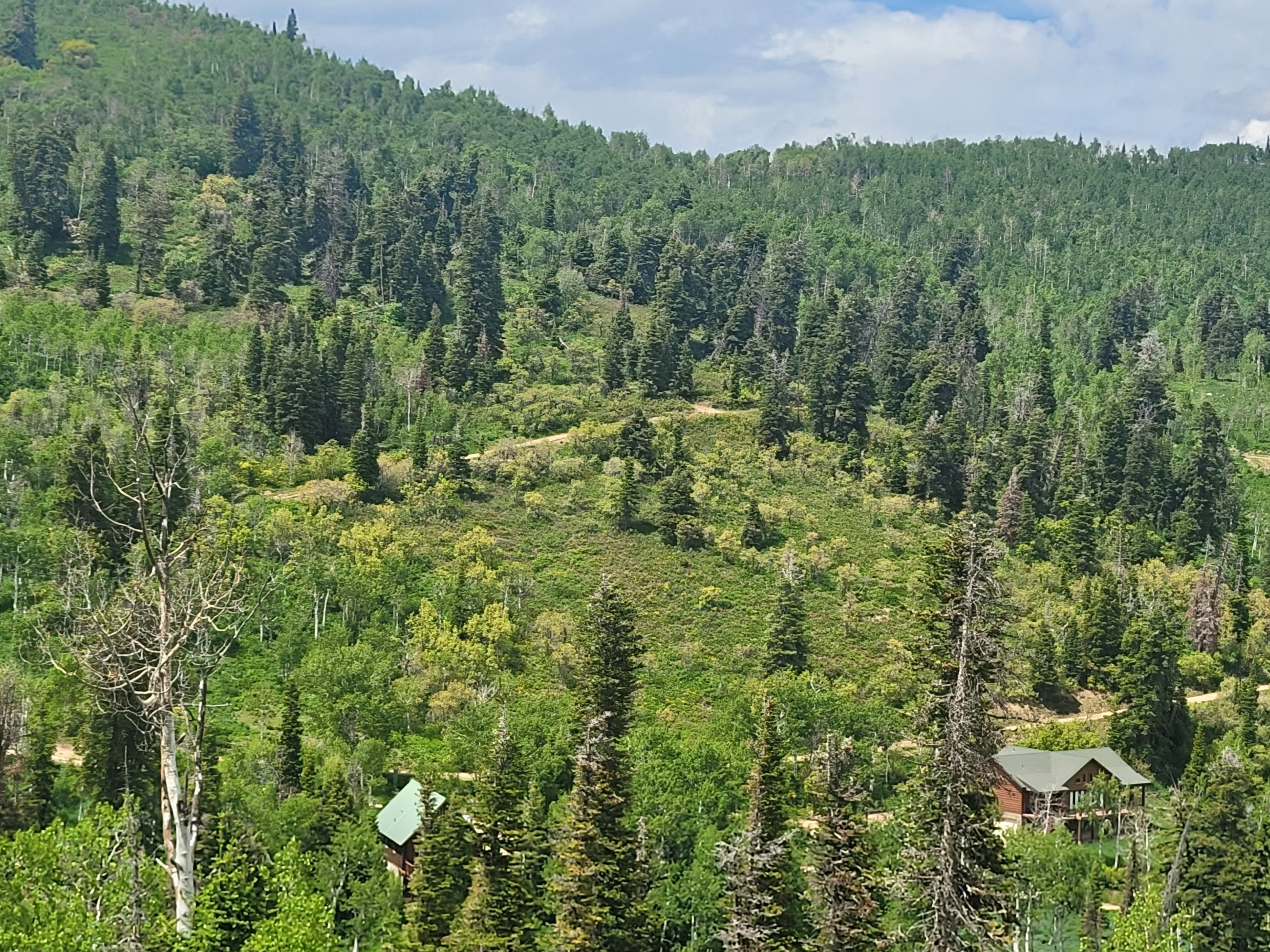 Mountain view