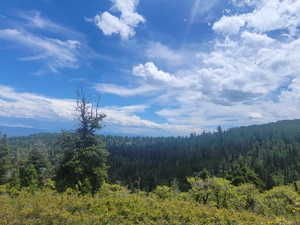 Expansive natural landscape featuring a dense forest of evergreen trees and varied deciduous foliage under a broad sky with scattered clouds