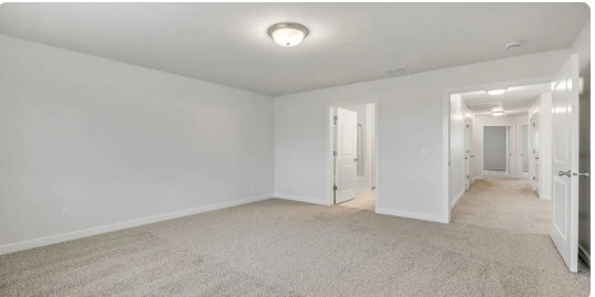 Carpeted room with white walls, a flush-mount ceiling light fixture, and white baseboards