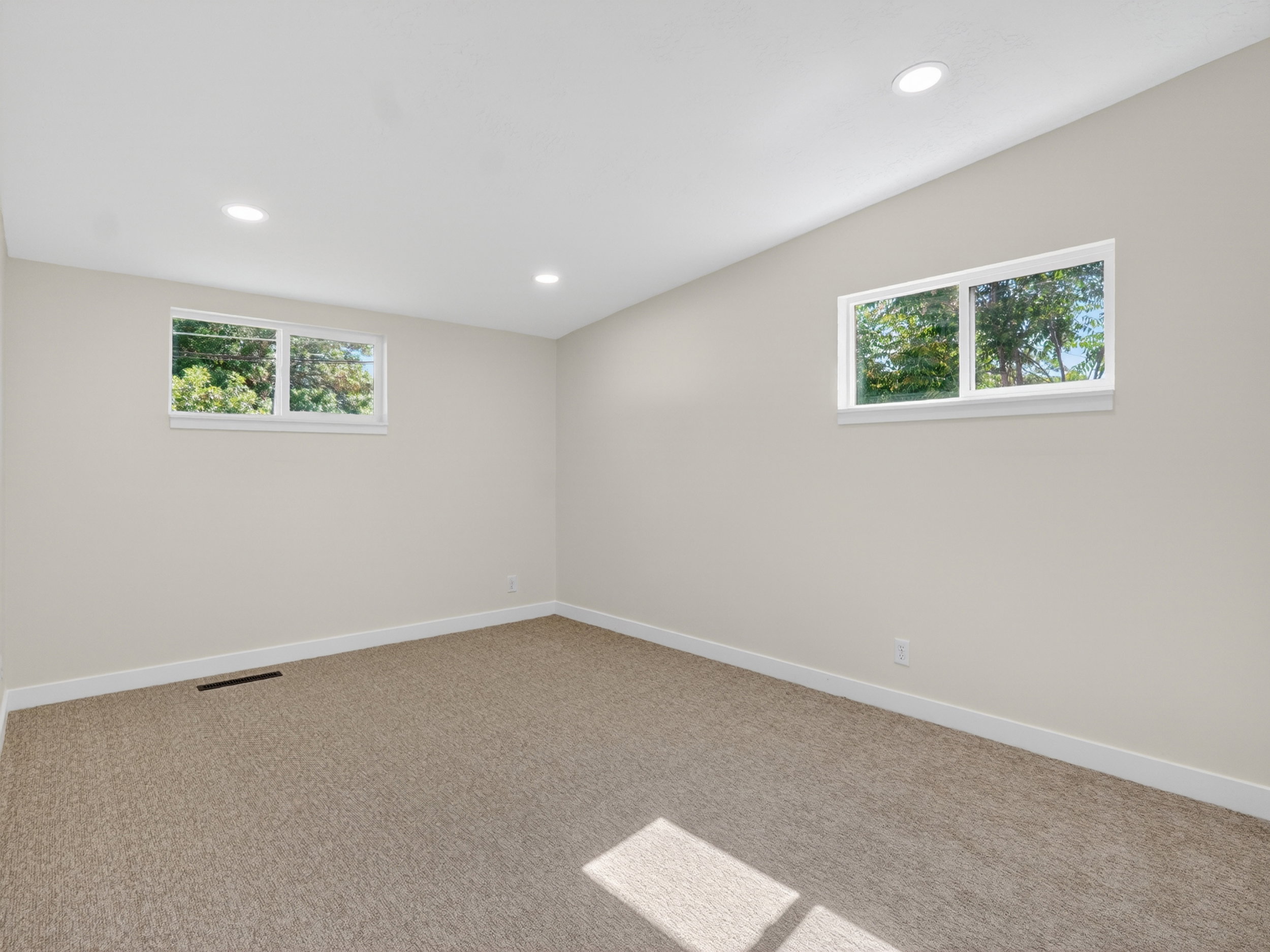 Spacious room featuring neutral carpeting, light-colored walls, white baseboards, and two windows providing abundant natural illumination