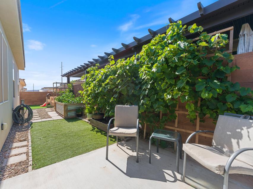 Backyard patio featuring a concrete slab, pergola, and established vine coverage