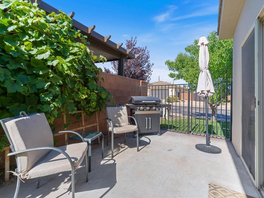 Concrete patio featuring a privacy wall with lush climbing foliage and an overhead pergola