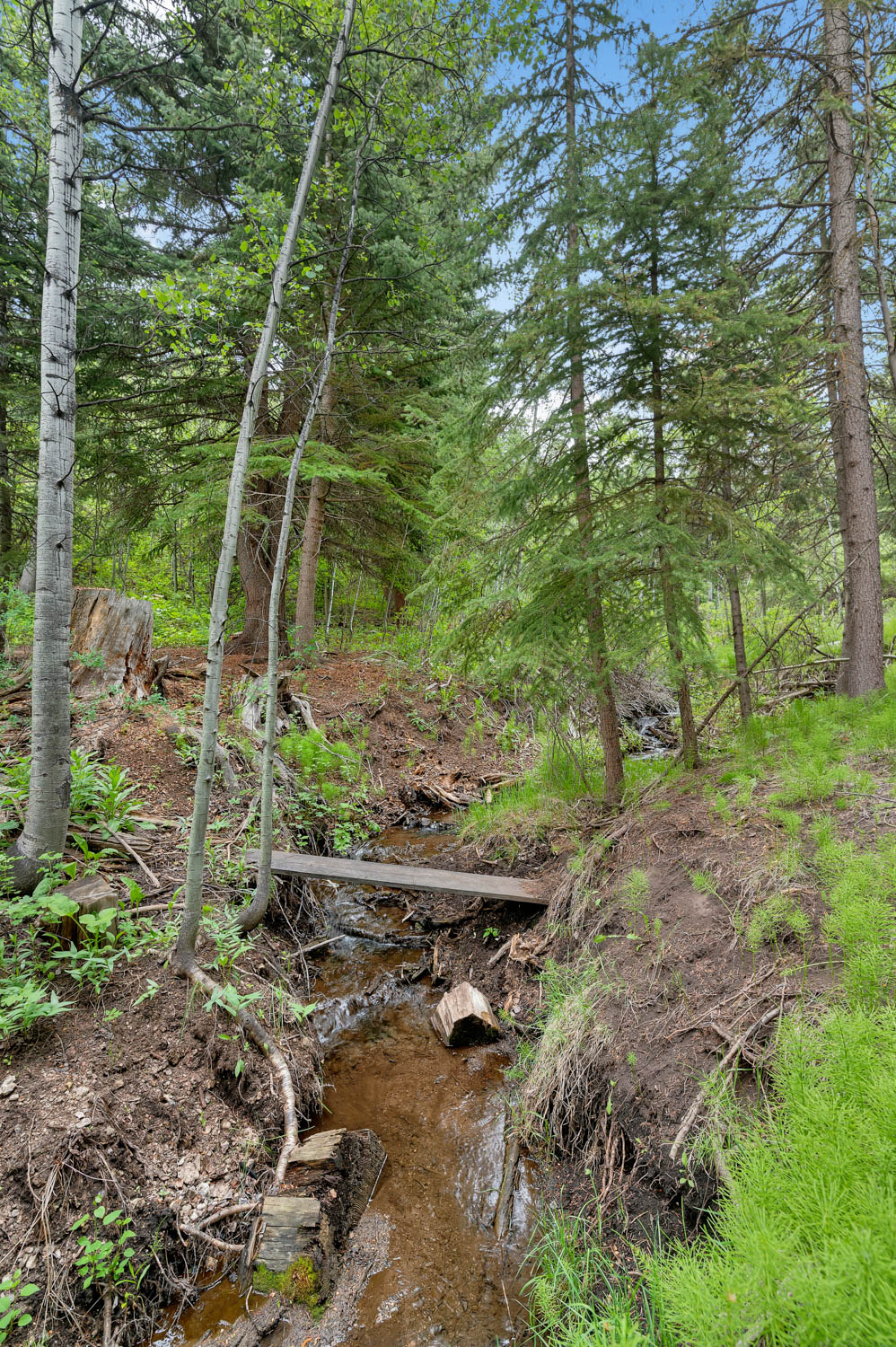 Creek in your backyard.