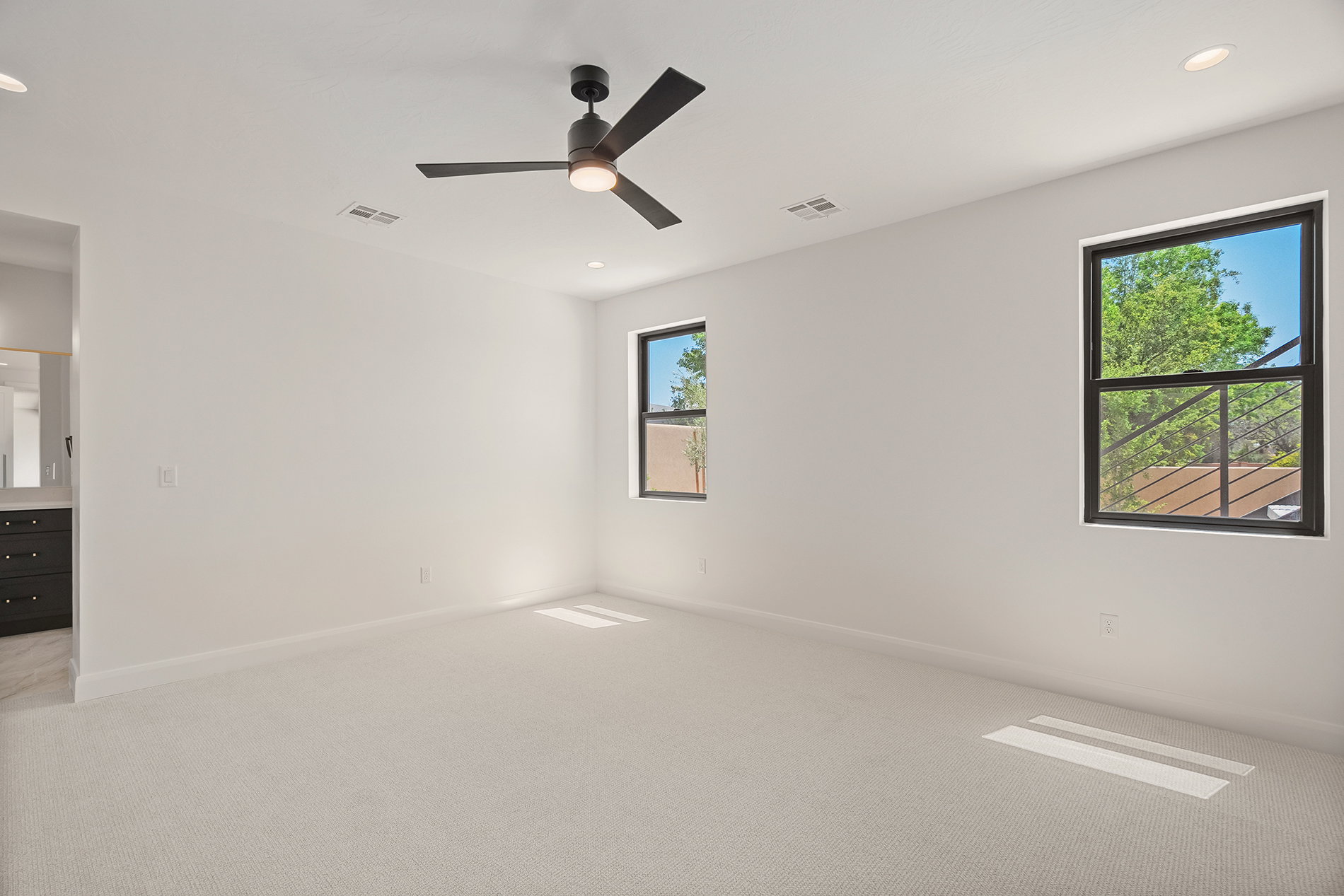Spacious room featuring light-colored carpet flooring, white walls, and two dark-framed windows