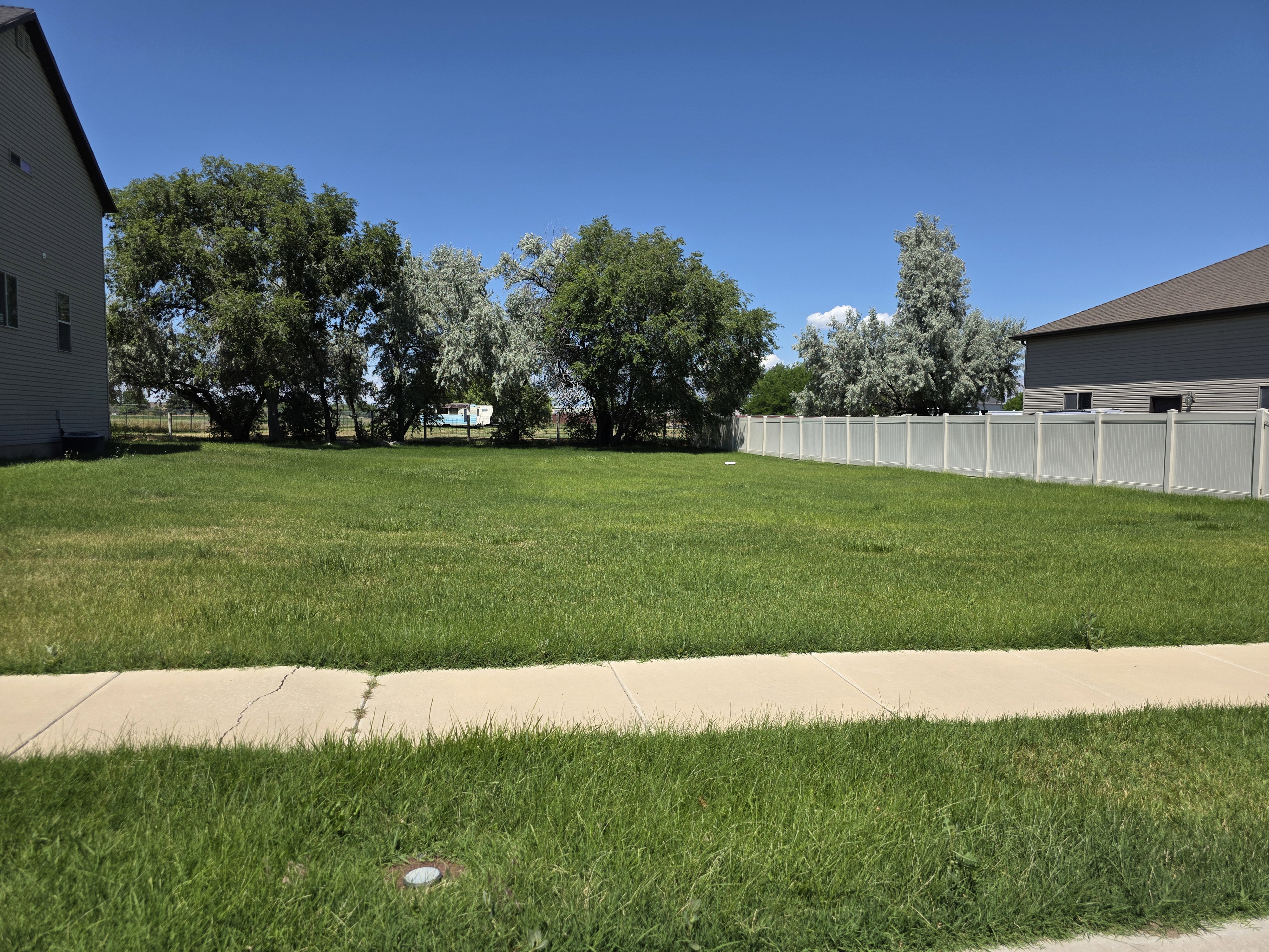 Expansive green lawn with established trees bordering the property