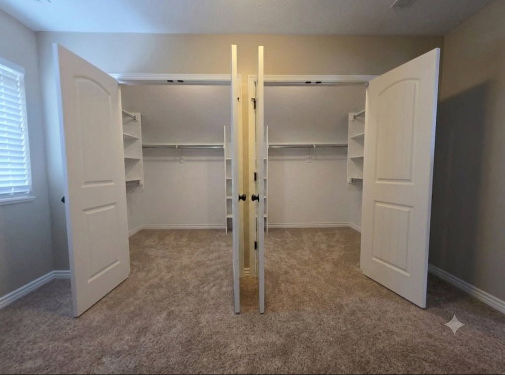 Walk-in closet featuring carpeted flooring, white trim, and custom shelving with hanging rods