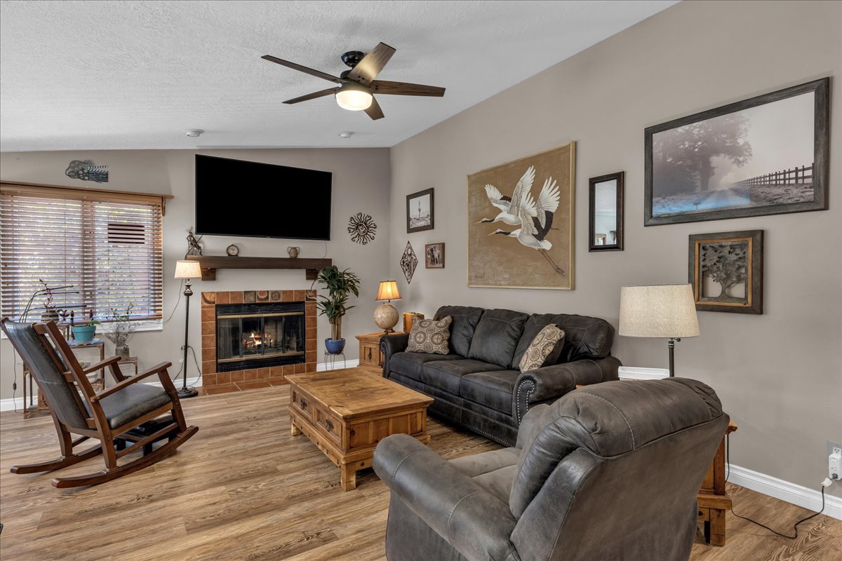 Living room featuring fireplace